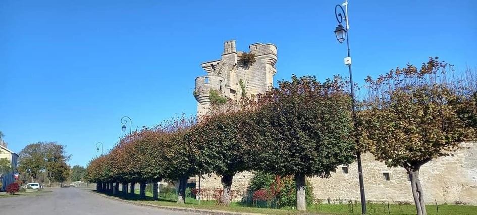 Ruines du château du Houssoy, Crouy sur Ourq