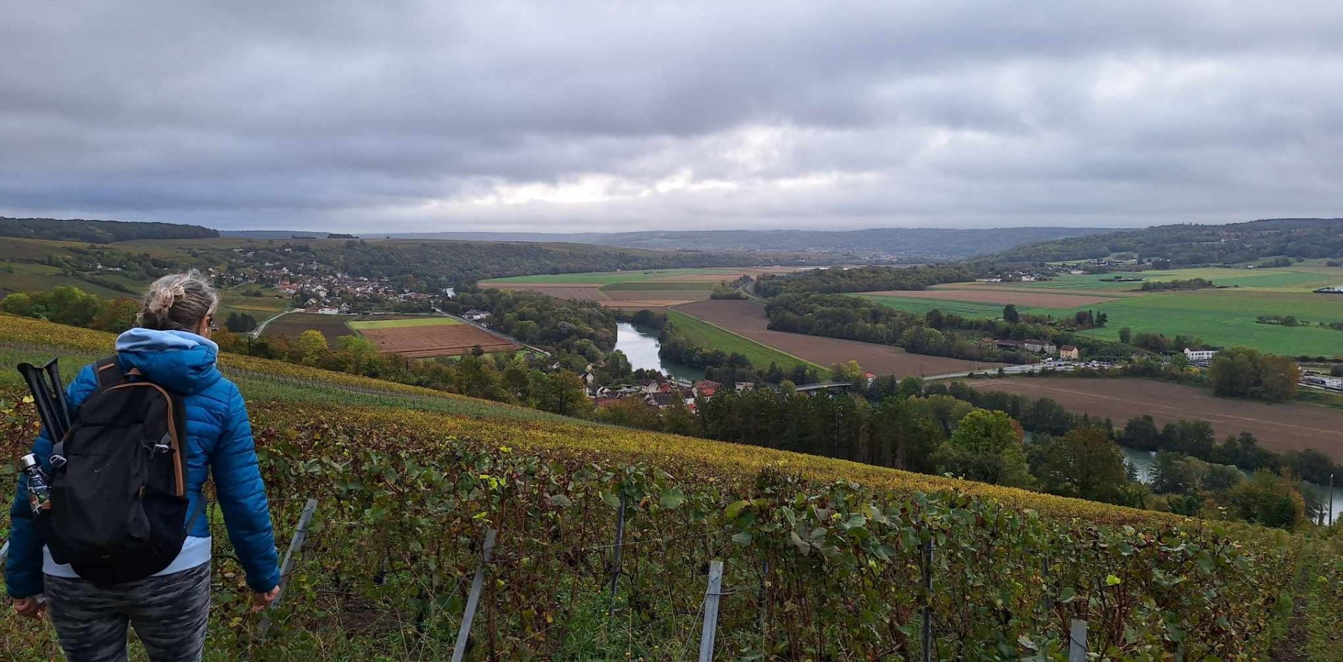 Magnifique point de vue sur les vignes de Seine & Marne