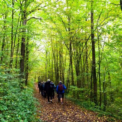 Ferté sous Jouarre : Bois de la Barre