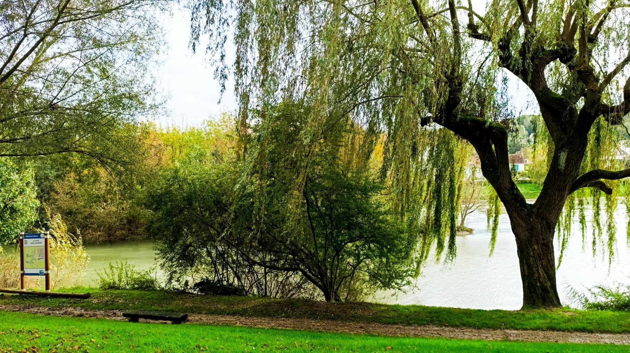 Sur les bords de Marne...