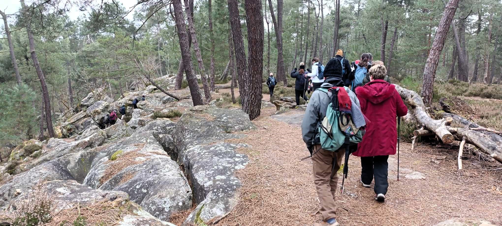 Sentier des Carriers, plein de rochers de grès