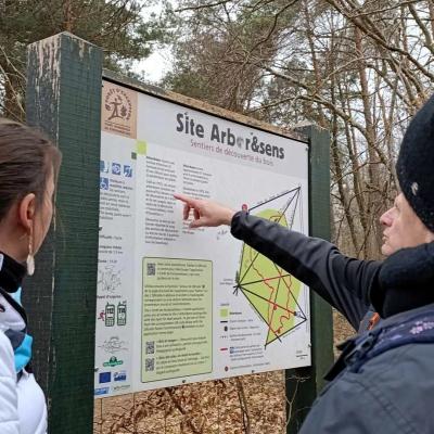 Fontainebleau Sentier des Carriers