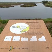 Polder de Sébastopol