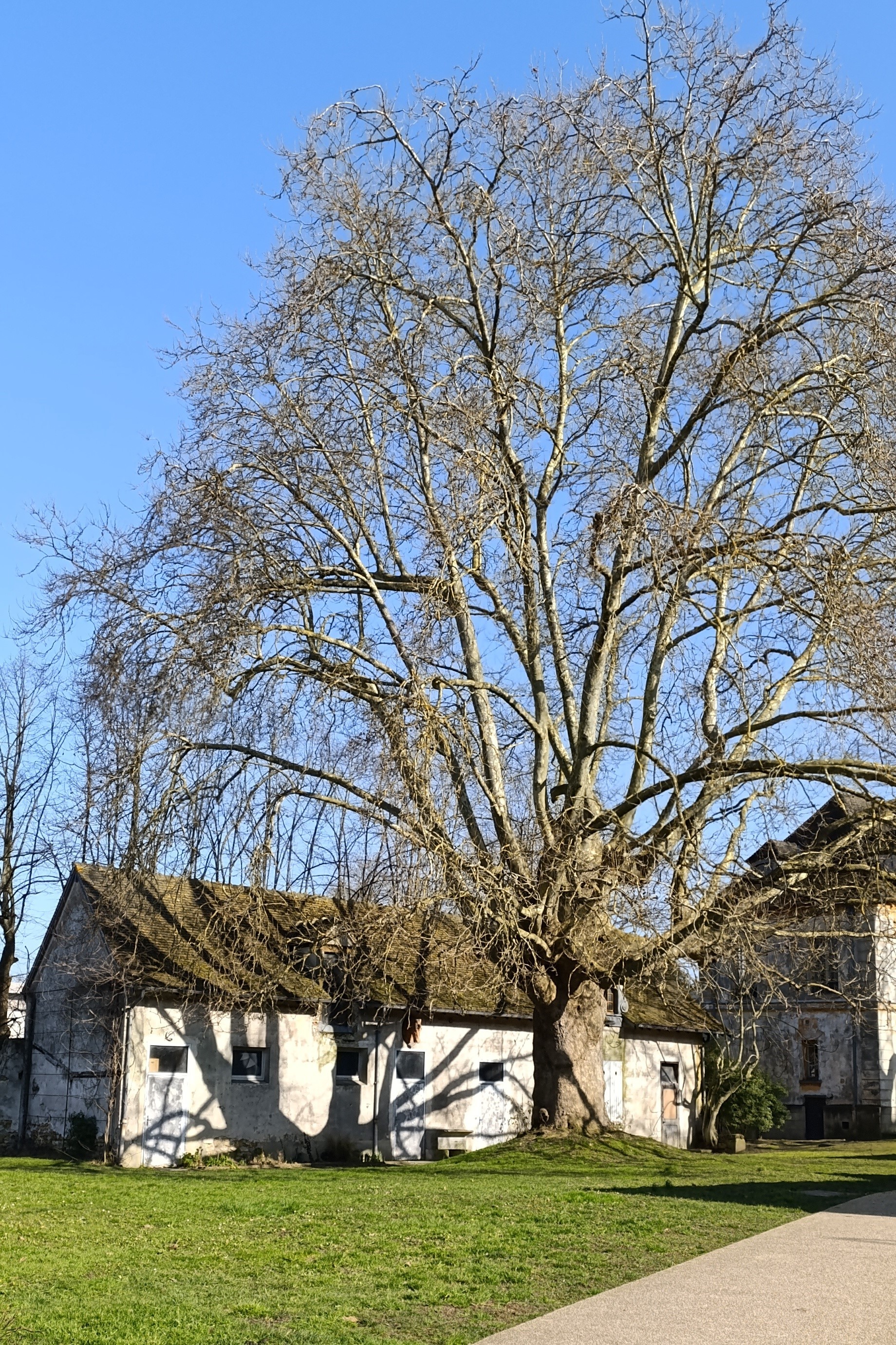La ferme 
