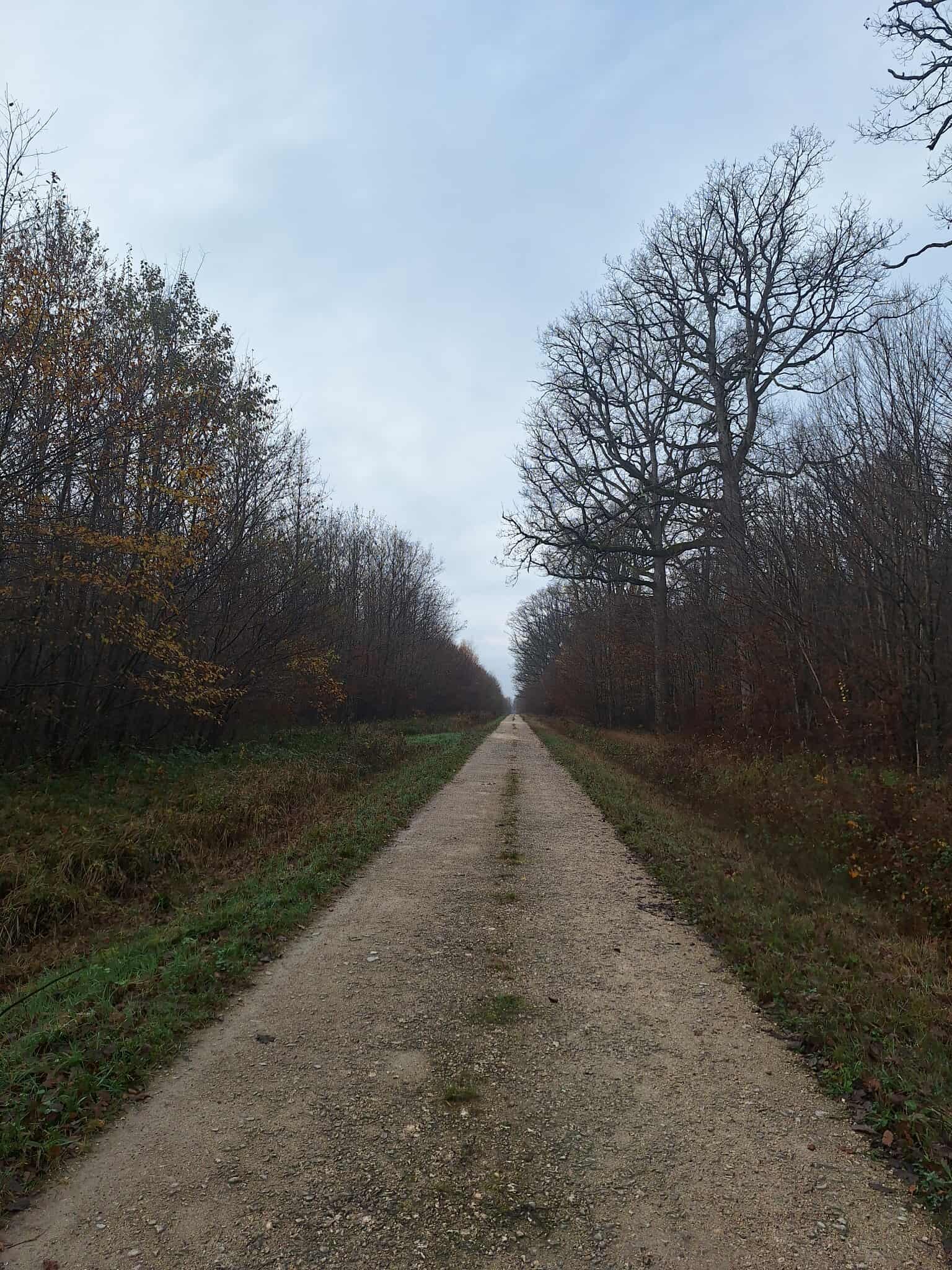 Une perspective de balade au sec !