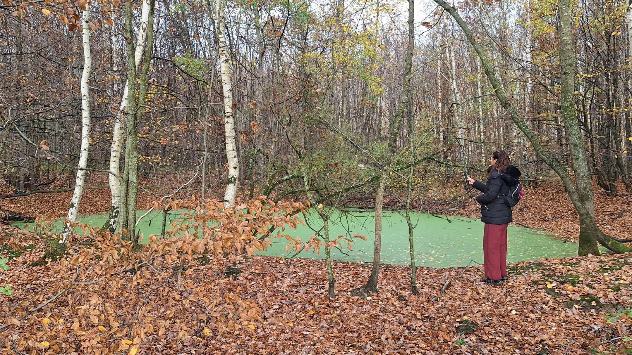 Au bord de la mare, photographe en action !