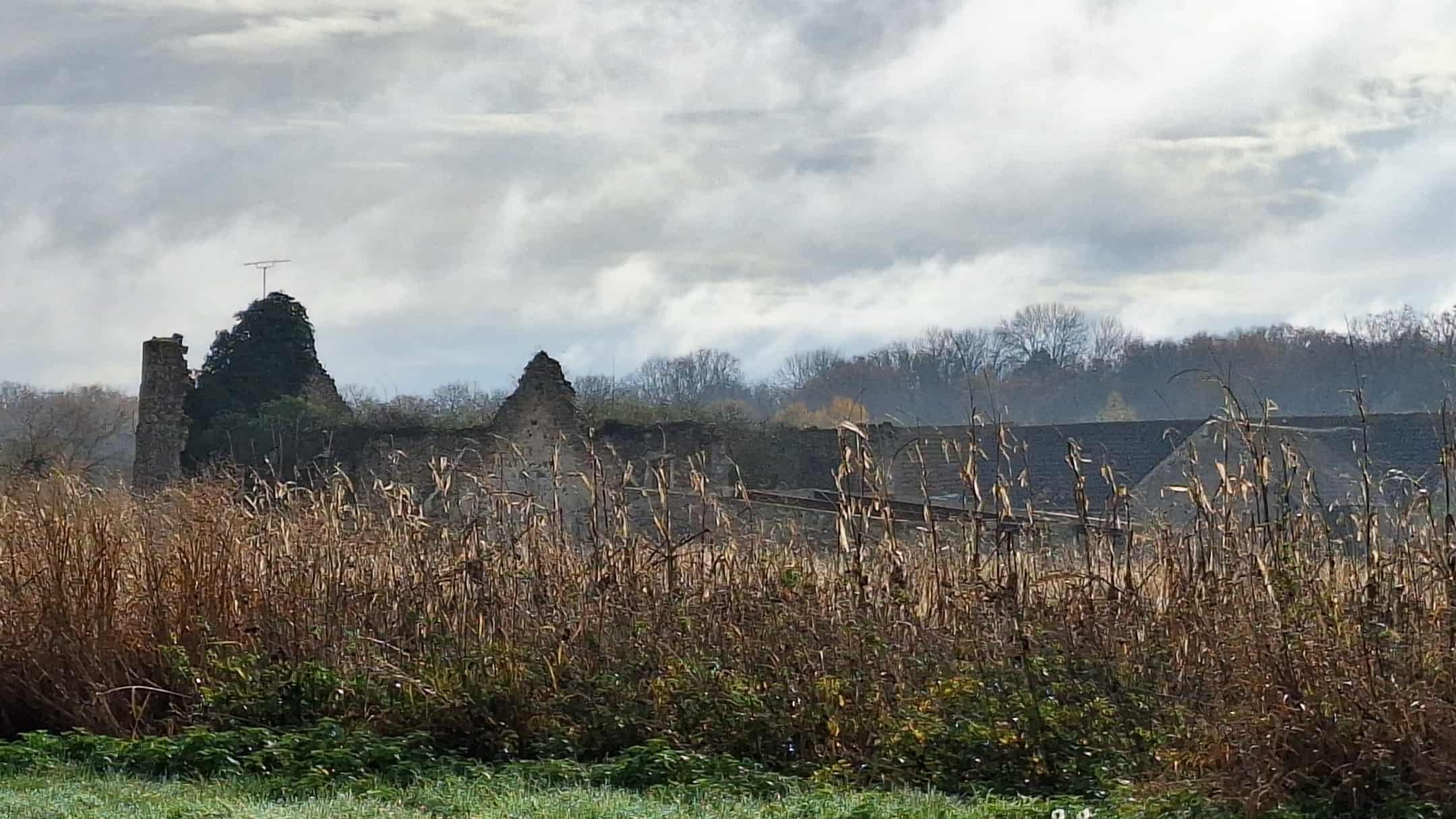 Ruine de maison forestière