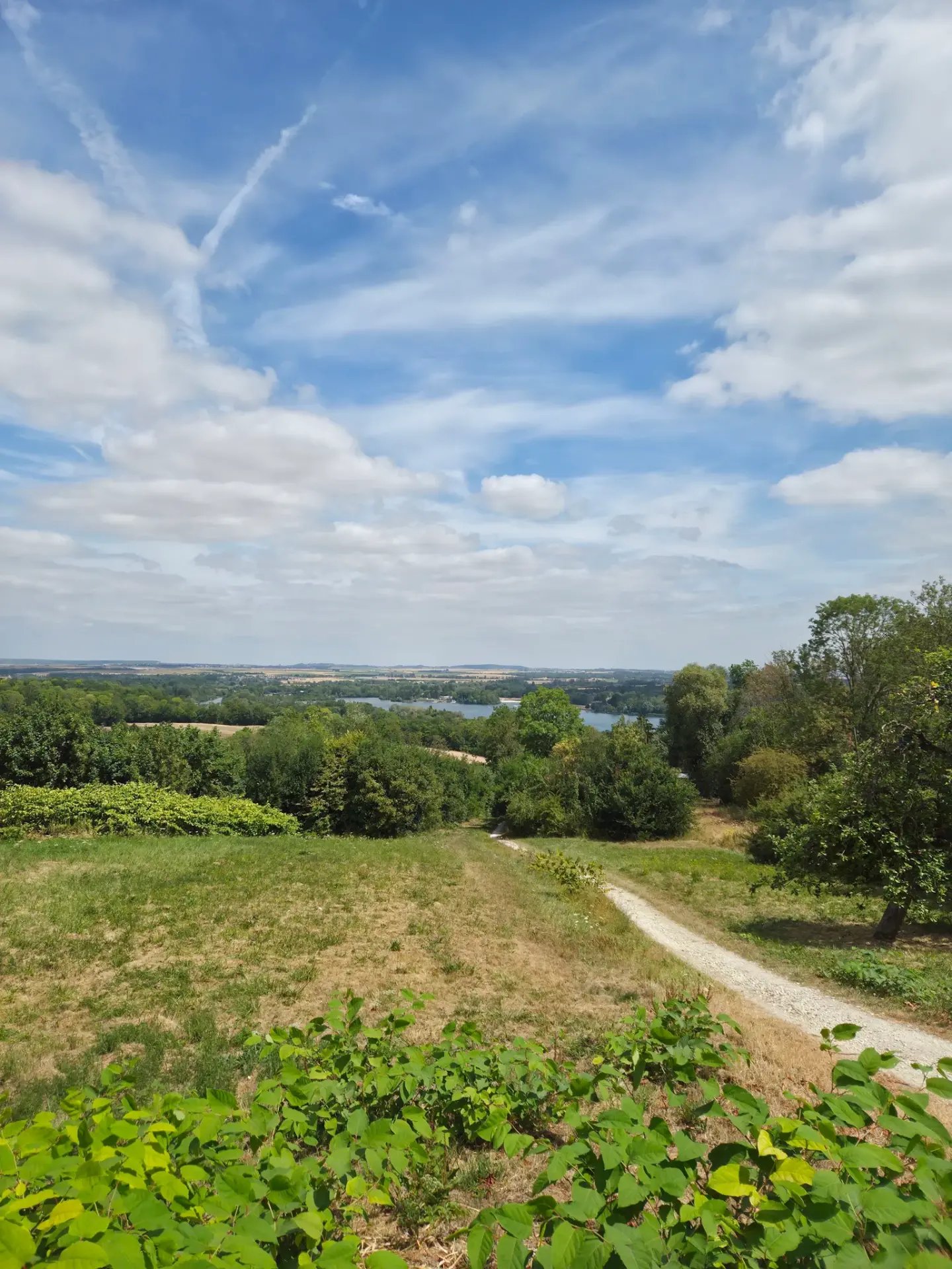 Boucle de la foret des vallieres