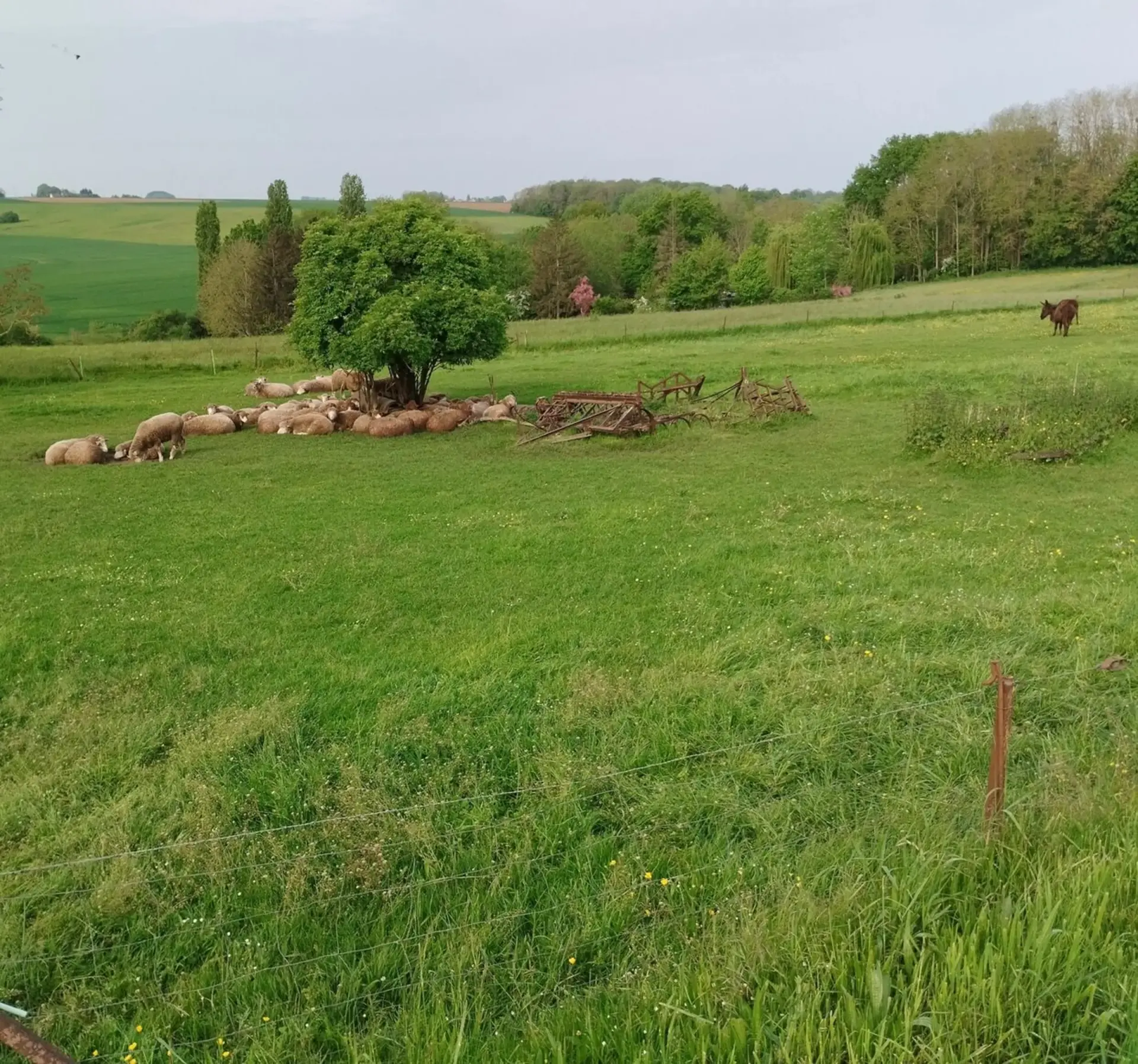 Courpalay et sa randonnee des 3 lavoirs c2a7772ea63f93d3d0d276ed85726a45