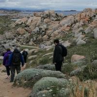 SEJOUR CORSE : ILE LAVEZZI