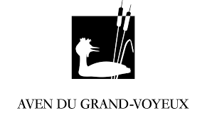 Le grand voyeux 3